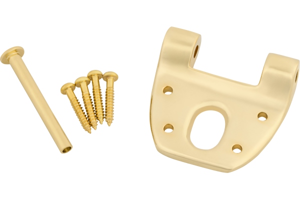 Extra Short Hinge w/Hinge Pin and Screws Gold Extra Short Hinge w/Hinge Pin and Screws Gold
