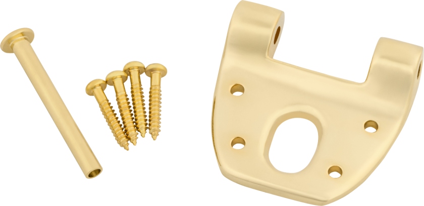 Bigsby Extra Short Hinge w/Hinge Pin and Screws Gold