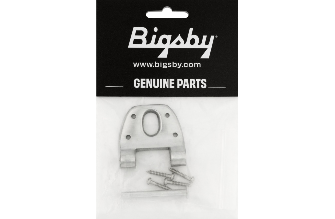 Bigsby Bigsby Extra Short Hinge w/Hinge Pin and Screws Polished