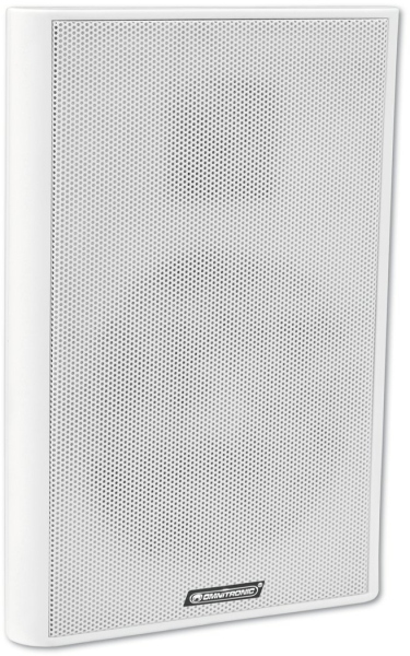 Omnitronic FPS-5 PA Wall Speaker