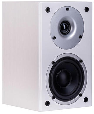 Wilson RAPTOR MINI WHITE