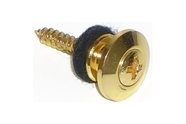 Strap Pin - gold