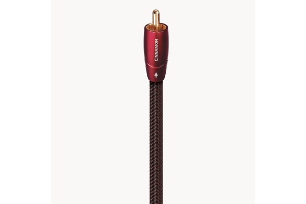 Cinnamon 1.5m