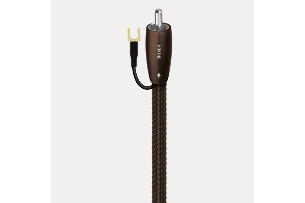 Boxer 16m RCA - RCA 
