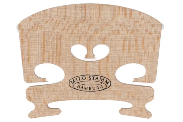 Student 4/4 41.5mm Student 4/4 41.5mm