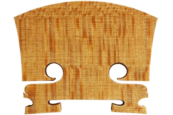 Milo Stamm	 TP Premium 4/4 41,5mm