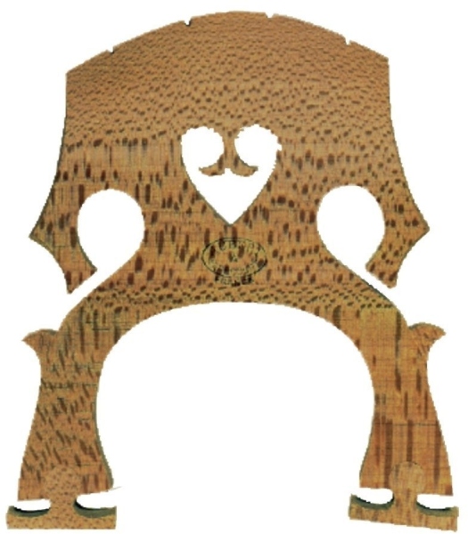Aubert Calus violoncel 4/4