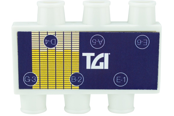 PitchPipes Guitar