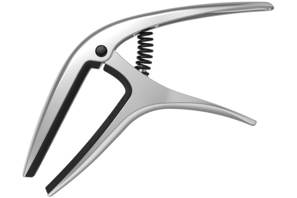 Axis Capo Silver