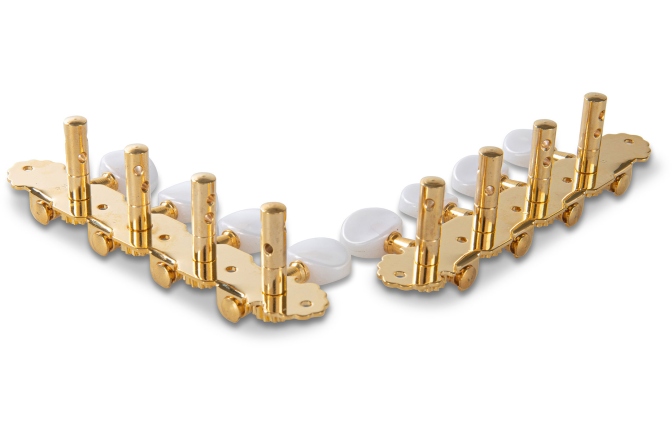 Chei mandolină Gewa F&S Mandolină set aurit