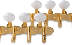 Chei mandolină Gewa F&S Mandolină set aurit