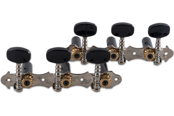 Gewa Classical guitar Pro Arte Nickel