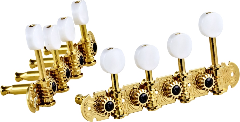 Ortega Mandolin, F-style, premium, white buttons - Gold