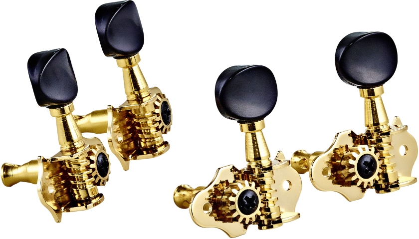 Ortega Ukulele set open gear, black ABS button - Gold