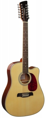 Brunswick BD200 12-String Dreadnought