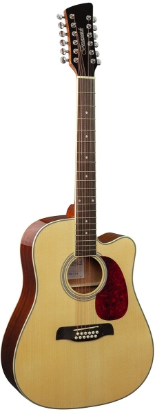 Brunswick BD200 12-String Dreadnought