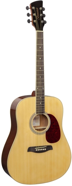 Brunswick BD200 Dreadnought - Natural