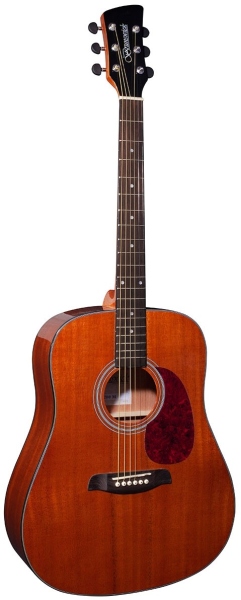 Brunswick BD200 Mahogany Top Dreadnought