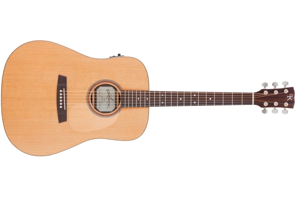 Dreadnought F10C Solid Red Cedar/Indian Rosewood Veneer Dreadnought F10C Solid Red Cedar/Indian Rosewood Veneer