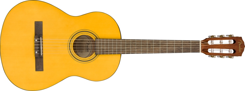 Fender ESC-80 Educational