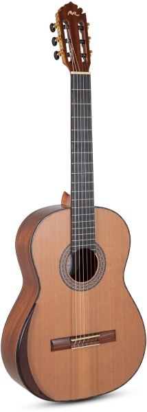 Manuel Rodriguez Magistral Serie D-C all solid Cedar