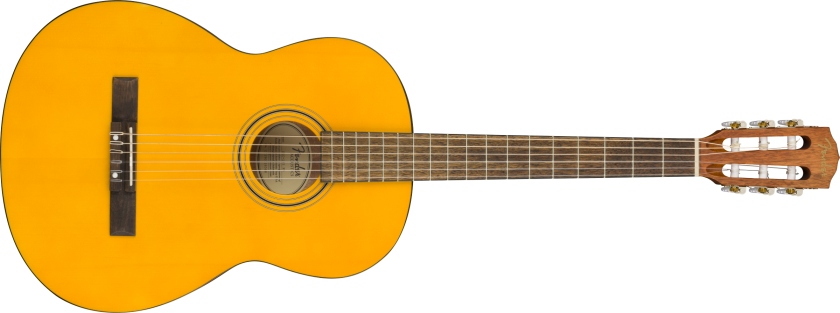 Fender ESC-105 Educational