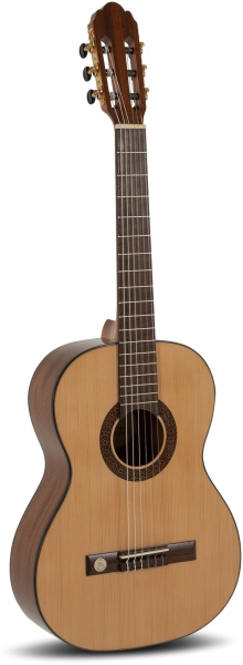 Gewa Pro Arte GC 100 A Marimea 7/8