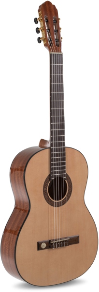 Gewa Pro Arte GC 210 4/4
