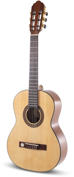 Gewa Pro Arte GC 75 A 3/4 Stanga