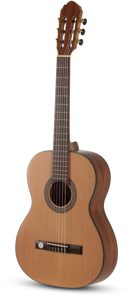 Gewa Pro Arte Maestro CM-100 7/8 Stanga