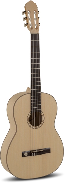 Gewa Pro Natura Gold complet solid