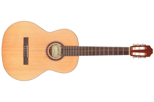 Camellia Soloist Series