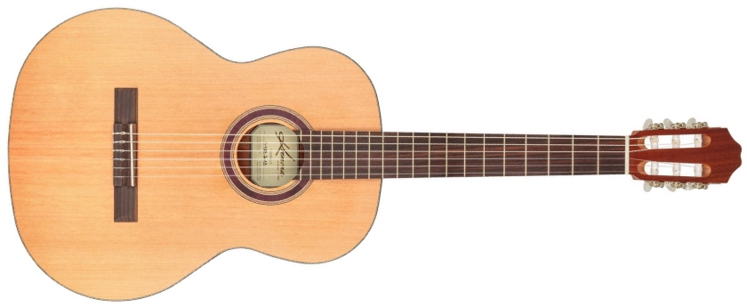 Kremona Camellia Soloist Series