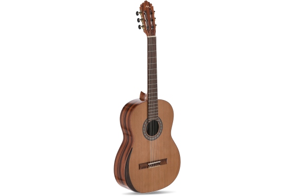 Superior Serie EX-SC Cedru/Santos high gloss Superior Serie EX-SC Cedru/Santos high gloss