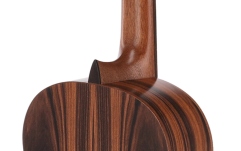 Chitară clasică Manuel Rodriguez Superior Serie EX-SS molid/Santos