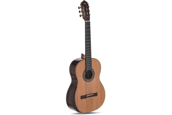 Superior Serie EX-ZC Cedru/Ziricote Superior Serie EX-ZC Cedru/Ziricote