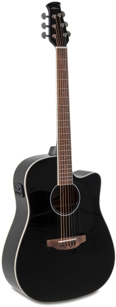Applause Wood Classics AED96-5HG Black Gloss Electro Negru lucios