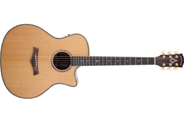 Platinium Elite A CE SIT/RW Sitka/Rosewood Platinium Elite A CE SIT/RW Sitka/Rosewood