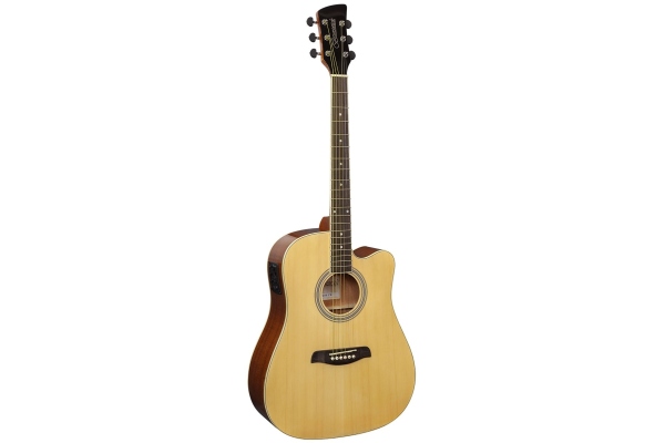 Brunswick BD200 Dreadnought CE