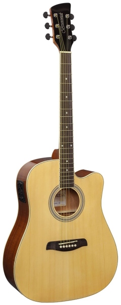 Brunswick BD200 Dreadnought CE