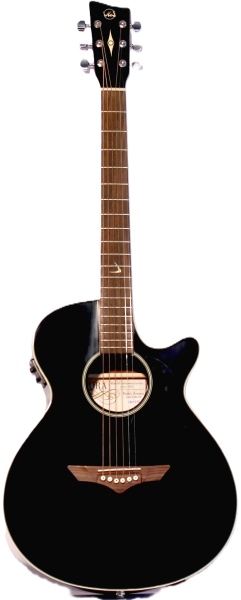 Hora Reghin Jumbo Solo Mahon Asimetric EQ Fishman
