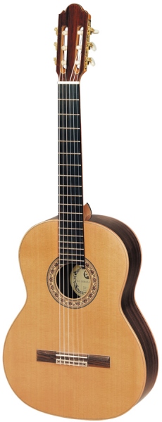 Hora Reghin Regun Concert SM20 EQ Fishmann