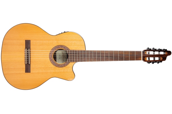 Performer F65CW-7S-VE Solid Cedar/Indian Rosewood