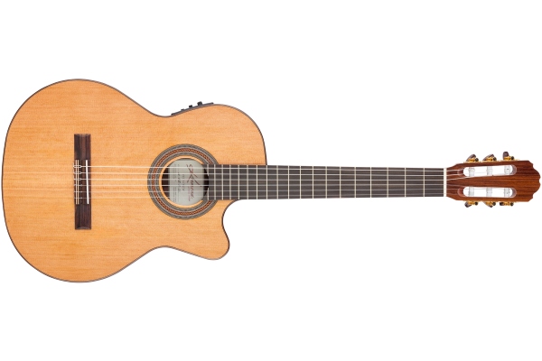 Kremona Performer F65CW Solid Red Cedar/Indian Rosewood Veneer