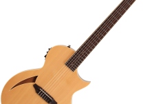 Chitară electro-clasică LTD TL-6N