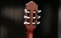 Chitară electro-clasică Ortega Family Thinline Cutaway RCE125MMSN