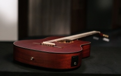 Chitară electro-clasică Ortega Family Thinline Cutaway RCE125MMSN