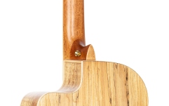 Chitară electro-clasică Ortega Thomas Zwijsen Signature Classic Guitar 6 String - + Softcase