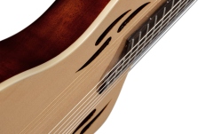 Chitară Electro-Clasică Ortega TourPlayer DeLuxe Nylon 6 String  Spruce Natural + Gig Bag