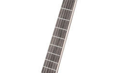 Chitară Electro-Clasică Ortega TourPlayer DeLuxe Nylon Acacia Burst + Gig Bag